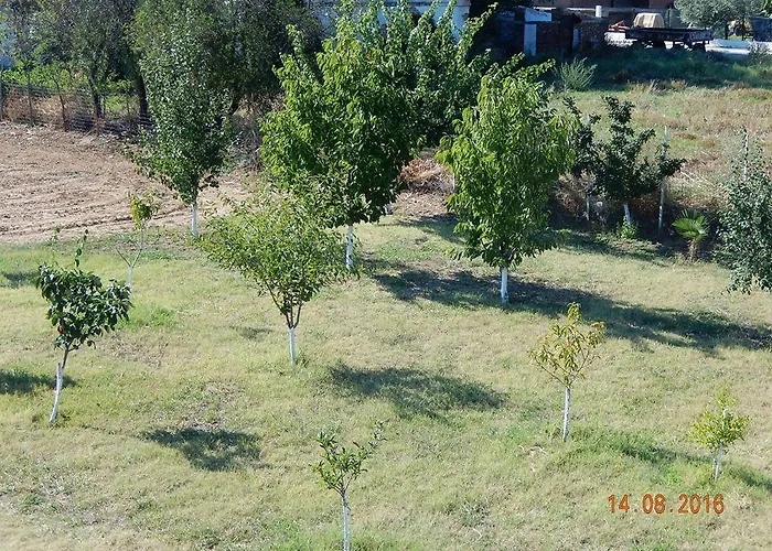 Noula * Makrigialos